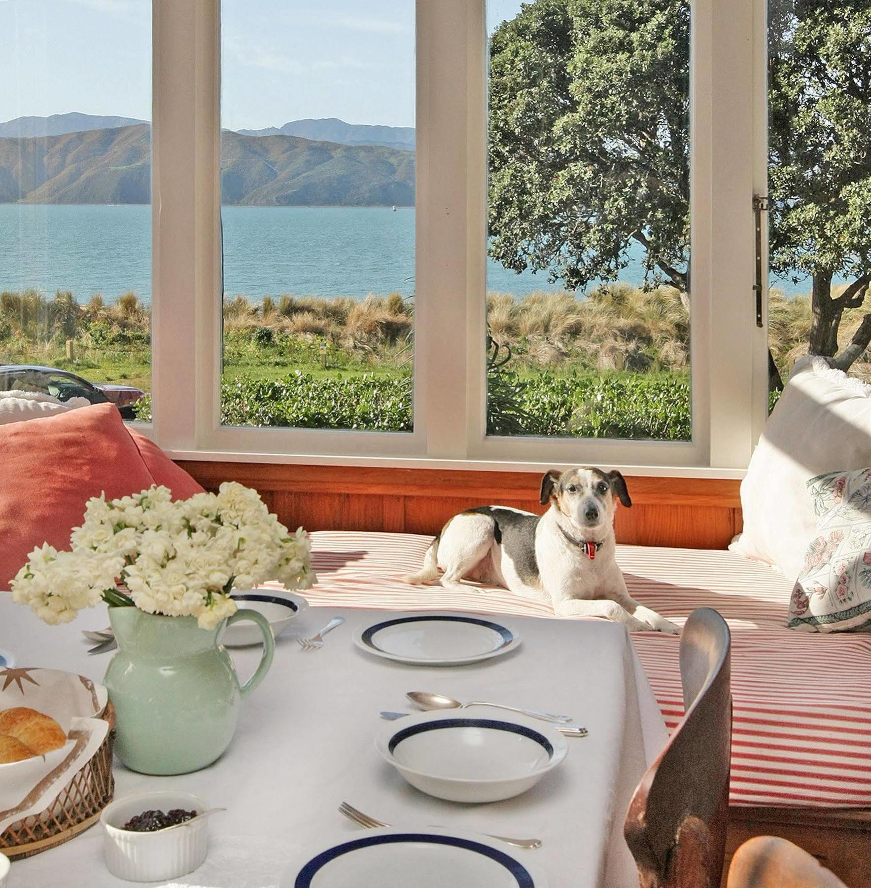 Beachfront Wellington Bed And Breakfast Bagian luar foto